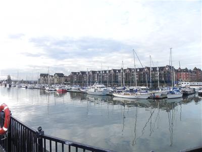 Picture 11